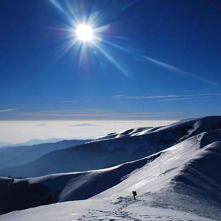 Sadyba Domashniy Zatyshok Pilipets Exterior foto