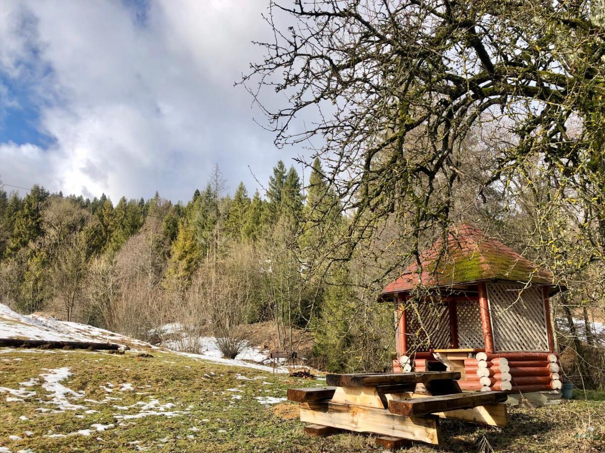 Sadyba Domashniy Zatyshok Pilipets Exterior foto